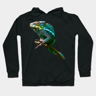 chameleon Zurich Hoodie